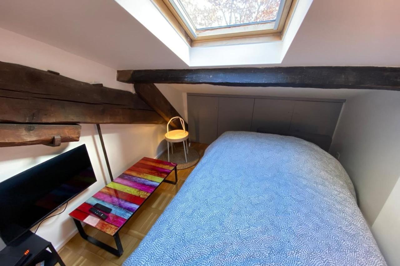 Le Petit Arloing-Studio Quais De Saone Vaise Lyon Buitenkant foto